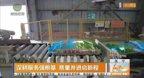 深耕服务强根基 质量并进启新程