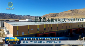 【强信心 增动能 添动力 推动高质量发展】青海：立足高原特色 做强产业引擎