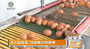 小小致富蛋 绘就振兴新画卷