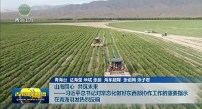 山海同心 共筑未来——习近平总书记对常态化做好东西部协作工作的重要指示在青海引发热烈反响