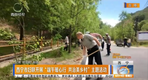 西宁市妇联开展“端午暖心行 共治美乡村”主题活动