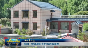 市州县传真 民和：绘就夏日乡村旅游新画卷