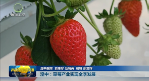 市州县传真 湟中：草莓产业实现全季发展
