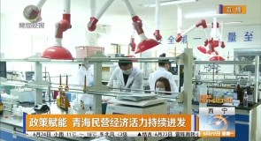 政策赋能 青海民营经济活力持续迸发