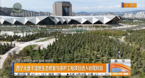 西宁元堡子湿地生态修复与保护工程项目进入收尾阶段