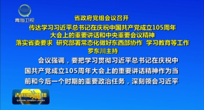 省政府党组会议召开