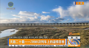天路二十载一一Z8981次列车上的温情答卷