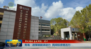 【牢记嘱托 奋发有为·实干】青海：政策赋能添动力 民间投资增活力