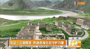 见证三江源蝶变 传递青海生态守护力量