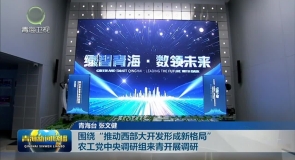 围绕“推动西部大开发形成新格局” 农工党中央调研组来青开展调研