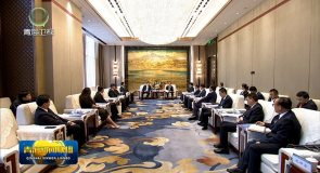 吴晓军 罗东川会见出席青洽会的国内外嘉宾