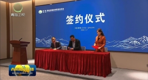 第27届青洽会地毯产业经贸合作座谈会举办