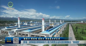 青海:政策组合拳精准发力 助力民营企业科技创新跑出“加速度”