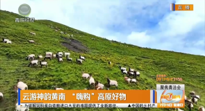 云游神韵黄南 “嗨购”高原好物