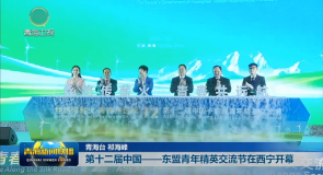 第十二届中国——东盟青年精英交流节在西宁开幕