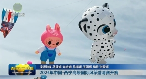 2026年中国·西宁高原国际风筝邀请赛开赛