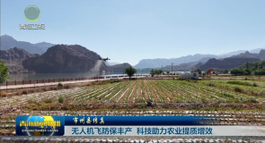 市州县传真 无人机飞防保丰产 科技助力农业提质增效