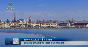 【抢抓机遇促发展·青海在行动】商务部门主动作为 助推外贸稳步向好