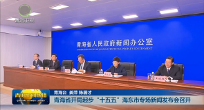 青海省开局起步“十五五”海东市专场新闻发布会召开