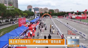 线上线下双向发力 产销融合助推“青货出青”