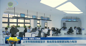 上半年税收数据显示 我省民生保障更加有力有效