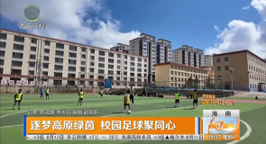 逐梦高原绿茵 校园足球聚同心