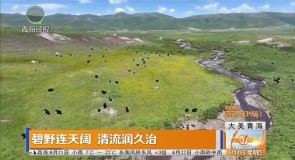 碧野连天阔 清流润久治