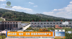 依托高原“蜜库”优势 做强青海特色蜂产业