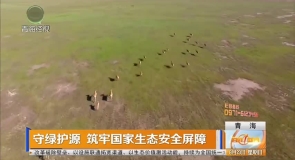 守绿护源 筑牢国家生态安全屏障
