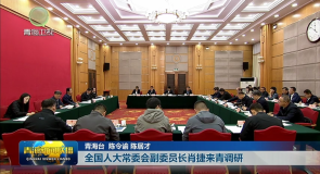 全国人大常委会副委员长肖捷来青调研