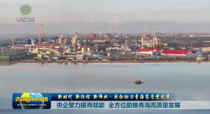 【新时代 新征程 新伟业·央企助力青海高质量发展】央企聚力援青赋能 全方位助推青海高质量发展