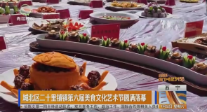 城北区二十里铺镇第六届美食文化艺术节圆满落幕