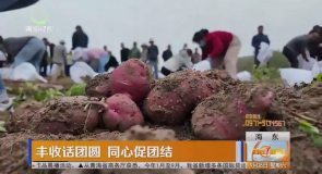 丰收话团圆 同心促团结