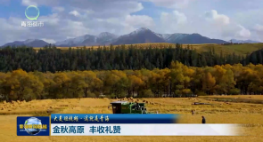 大美短视频·这就是青海 金秋高原 丰收礼赞