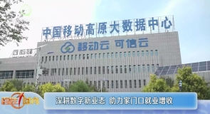 深耕数字新业态 助力家门口就业增收