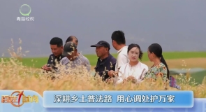 深耕乡土普法路 用心调处护万家