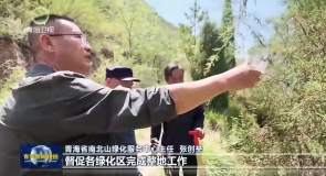 青海构建抗旱造林技术体系 为国土绿化提供有力支撑