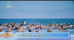 山河锦绣 大地华章