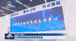 以数智赋能青海高质量发展