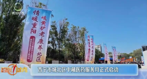 西宁市城北区中藏医药服务月正式启动