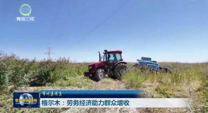 市州县传真 格尔木:劳务经济助力群众增收