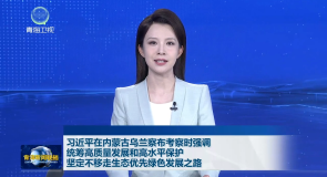习近平在内蒙古乌兰察布考察时强调 统筹高质量发展和高水平保护 坚定不移走生态优先绿色发展之路