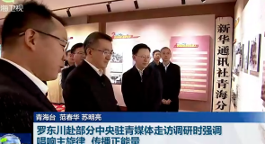 罗东川赴部分中央驻青媒体走访调研时强调 唱响主旋律 传播正能量 为青海凝聚强大精神力量营造良好舆论氛围