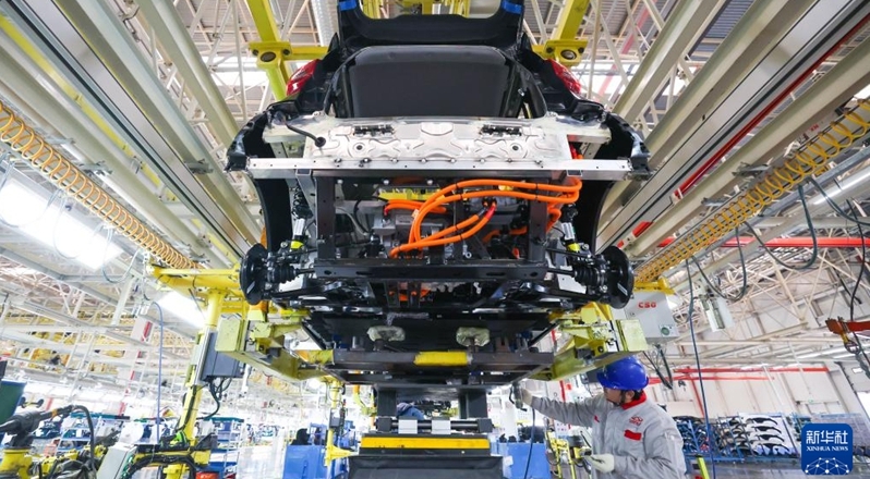 2025年我国新能源汽车产销量双超1600万辆