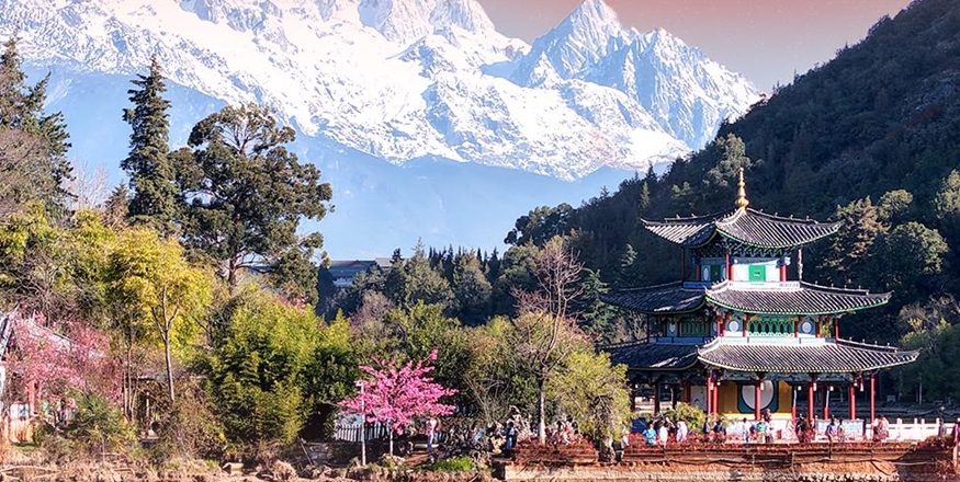 习近平总书记关切事·两会看落实丨以文化人，以文惠民，以文兴业