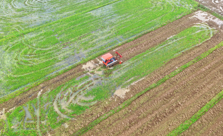 沃野染新绿 春耕绘丰景——从春耕一线看“十五五”开局农业生产新气象