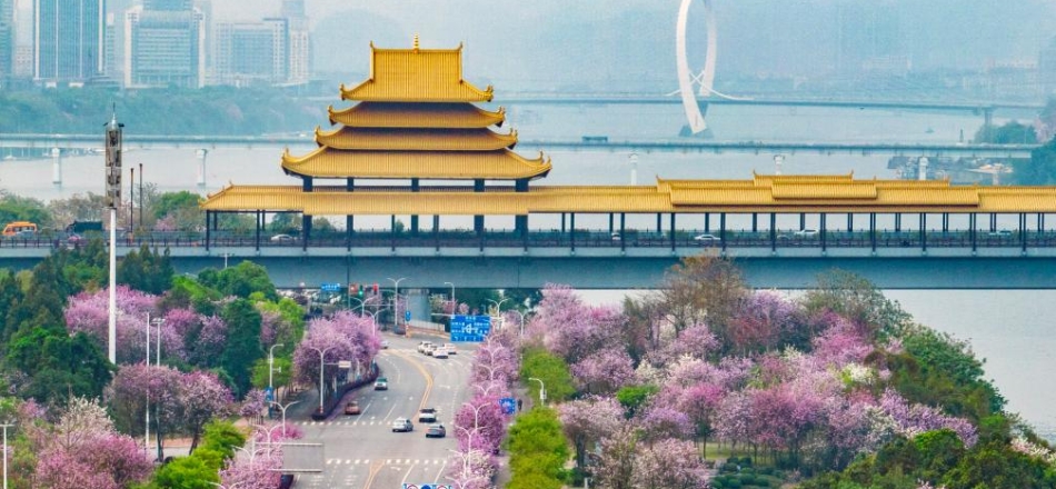 解码文化自信的城市样本丨龙城古韵展新篇——解码“山水工业名城”柳州的文化自信样本